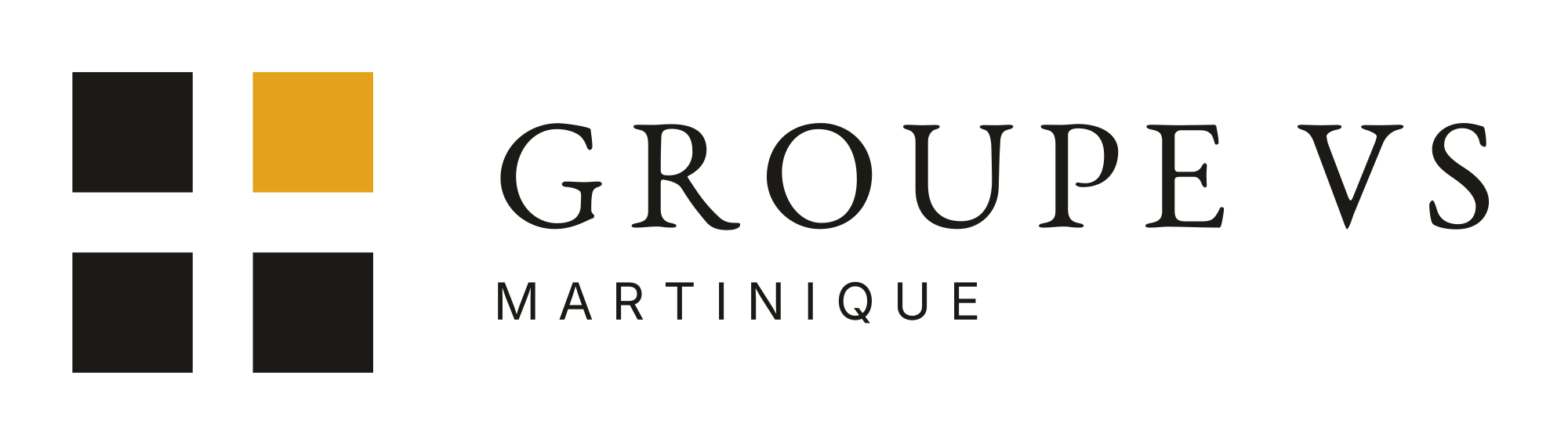 Groupe VS Martinique