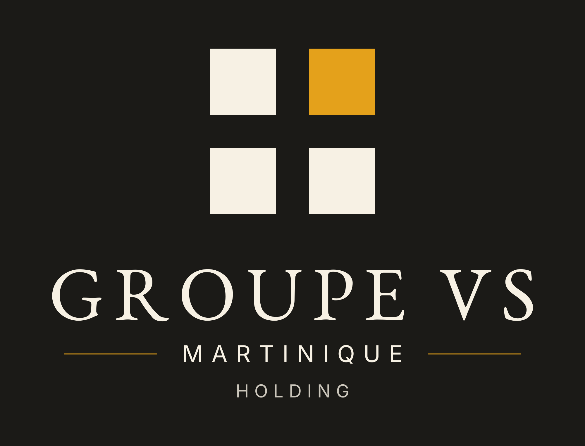 Groupe VS Martinique